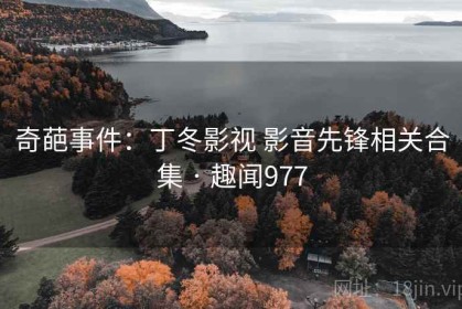 奇葩事件：丁冬影视 影音先锋相关合集 · 趣闻977