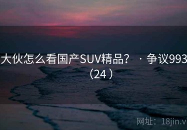 大伙怎么看国产SUV精品? · 争议993(24 ) 大伙怎么看国产SUV精品? · 争议993(24 )