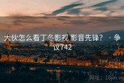 大伙怎么看丁冬影视 影音先锋？ · 争议742