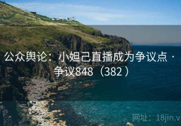 公众舆论：小妲己直播成为争议点 · 争议848（382 ）