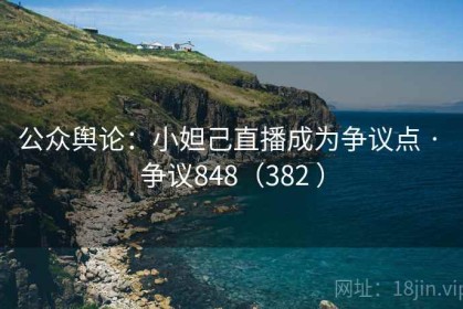 公众舆论：小妲己直播成为争议点 · 争议848（382 ）