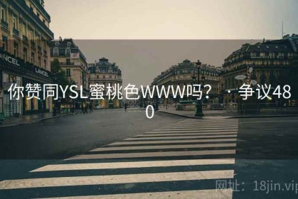 你赞同YSL蜜桃色WWW吗？ · 争议480
