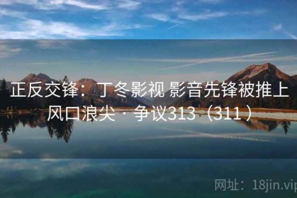 正反交锋：丁冬影视 影音先锋被推上风口浪尖 · 争议313（311 ）