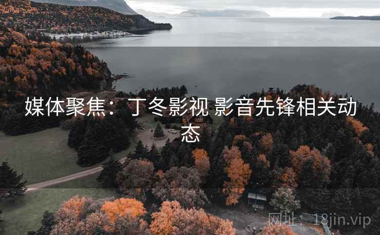 媒体聚焦:丁冬影视 影音先锋相关动态 媒体聚焦:丁冬影视 影音先锋相关动态