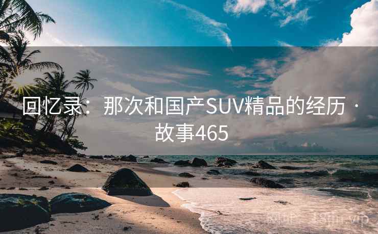 回忆录：那次和国产SUV精品的经历 · 故事465